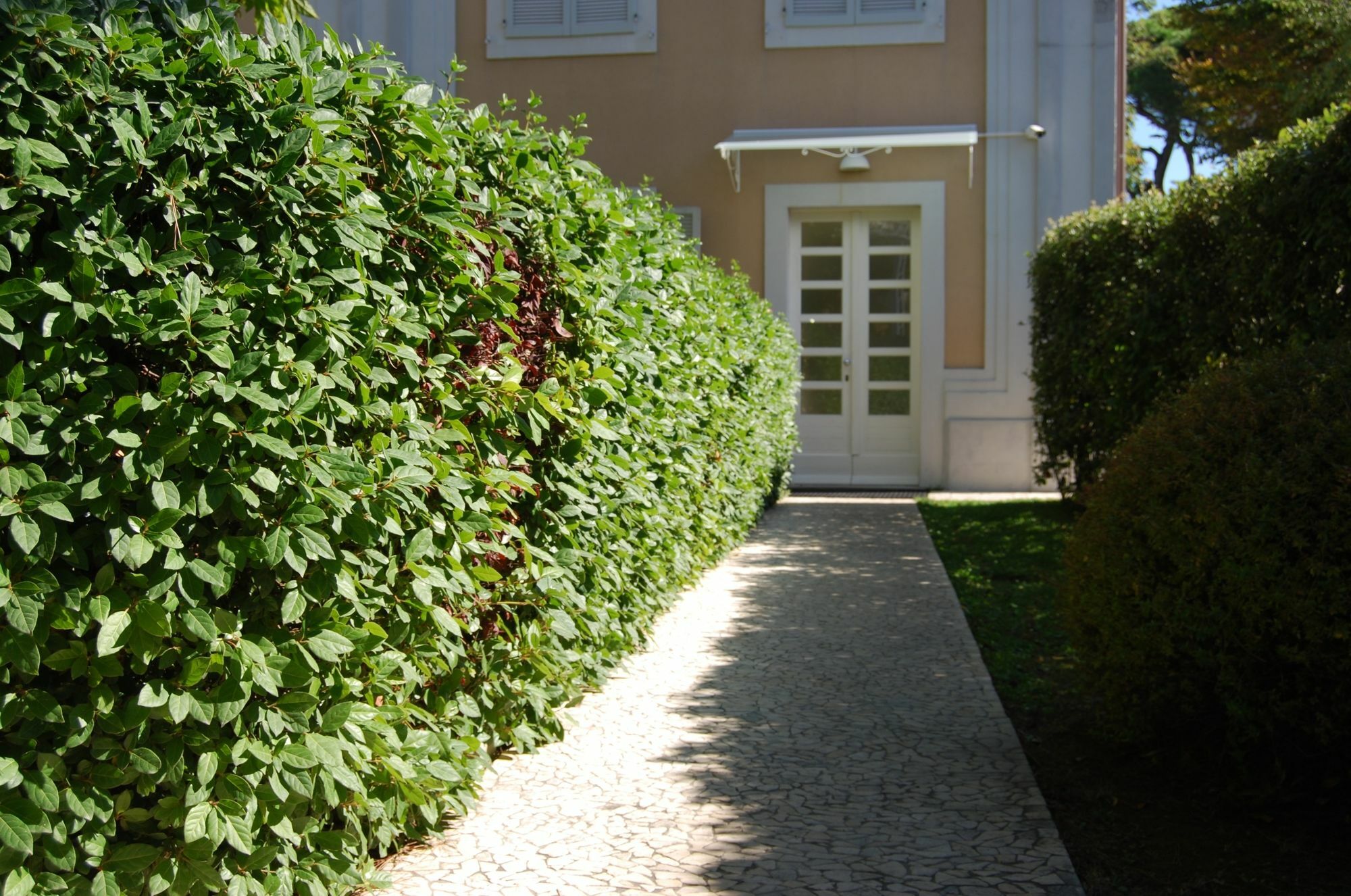 Ceccarini Suite Riccione Exterior photo