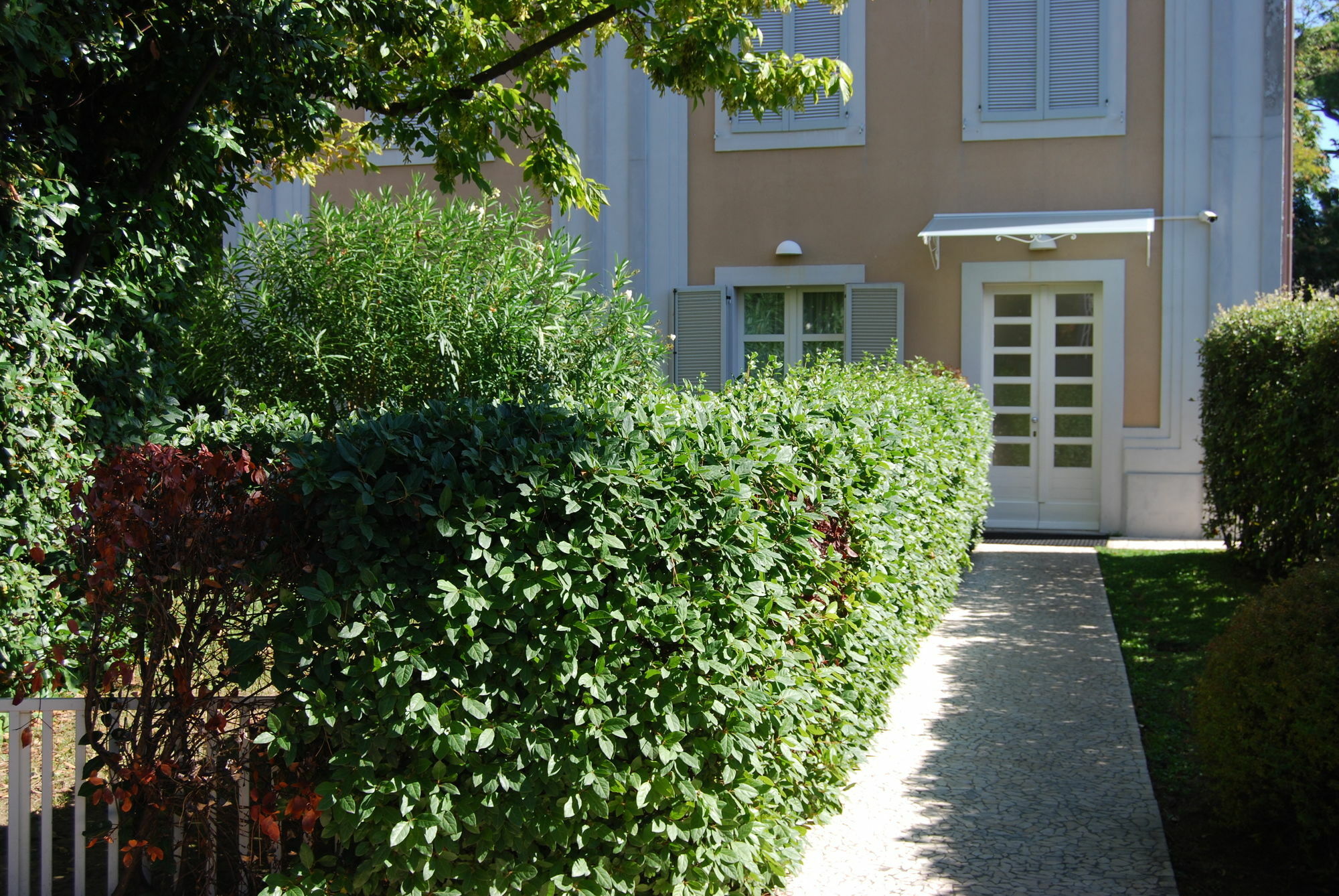 Ceccarini Suite Riccione Exterior photo